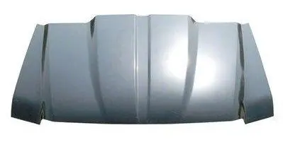 Cowl Induction Hood, Steel, New, 99-07 Ford Truck Sd 1