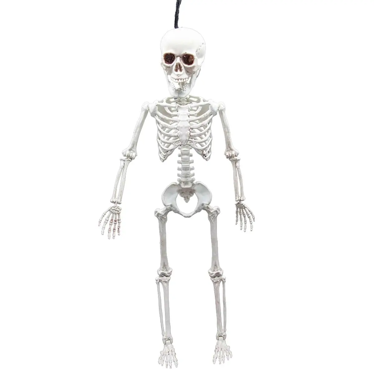 Poseable Realistic Skeleton Figure Halloween Decoration 40-150Cm 1