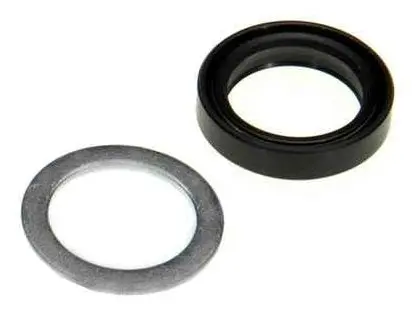 Steering Box Pitman Shaft Seal Kit, 66-96 Gm Vehicles 1