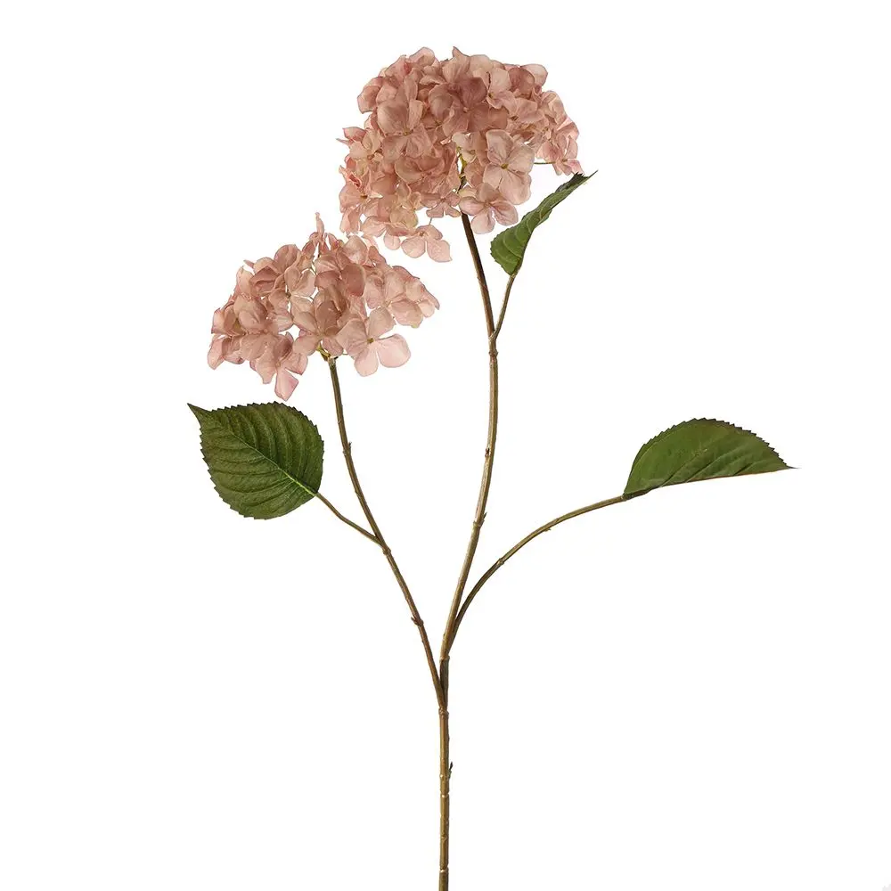 Hydrangea - 82 Cm 1