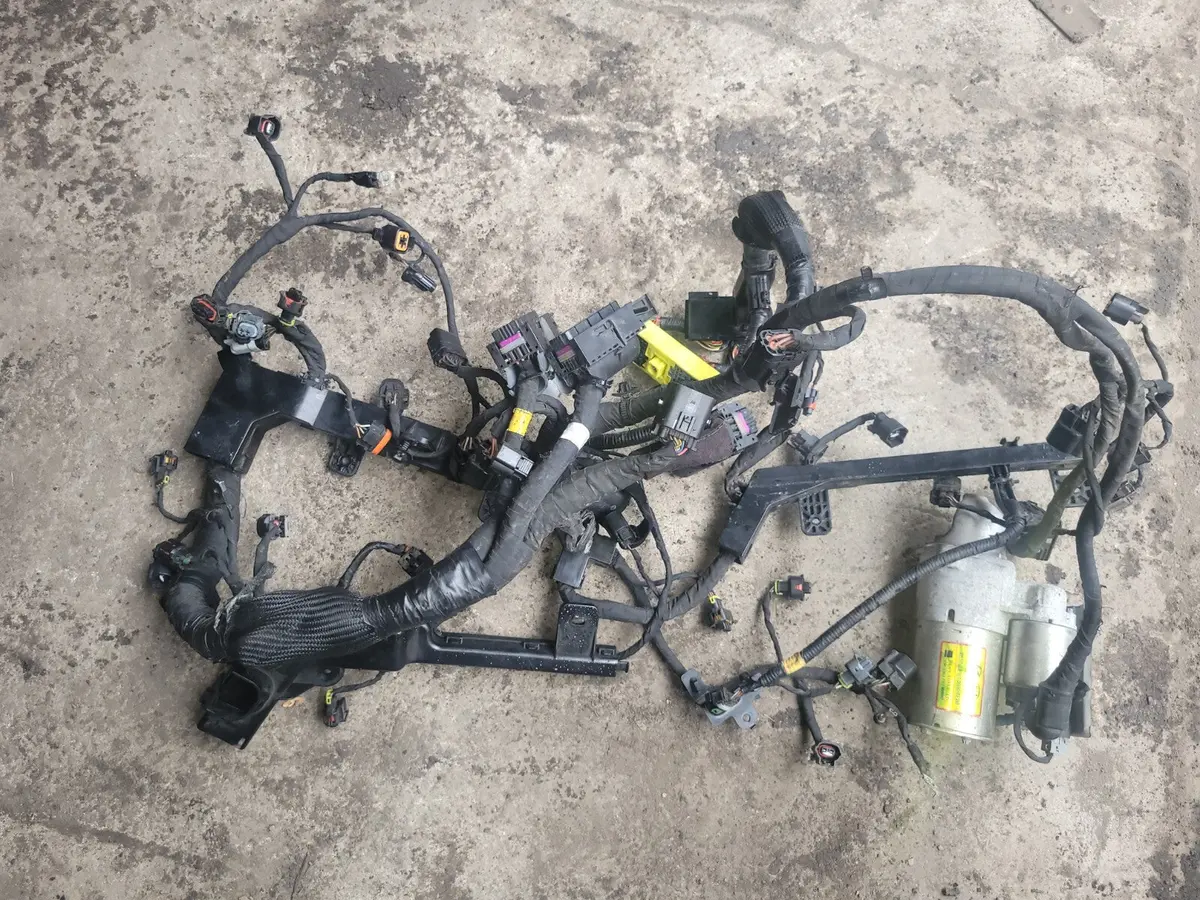 11 12 13 Hyundai Equus 5.0L Engine Motor Wire Wiring Harness Oem V8 1