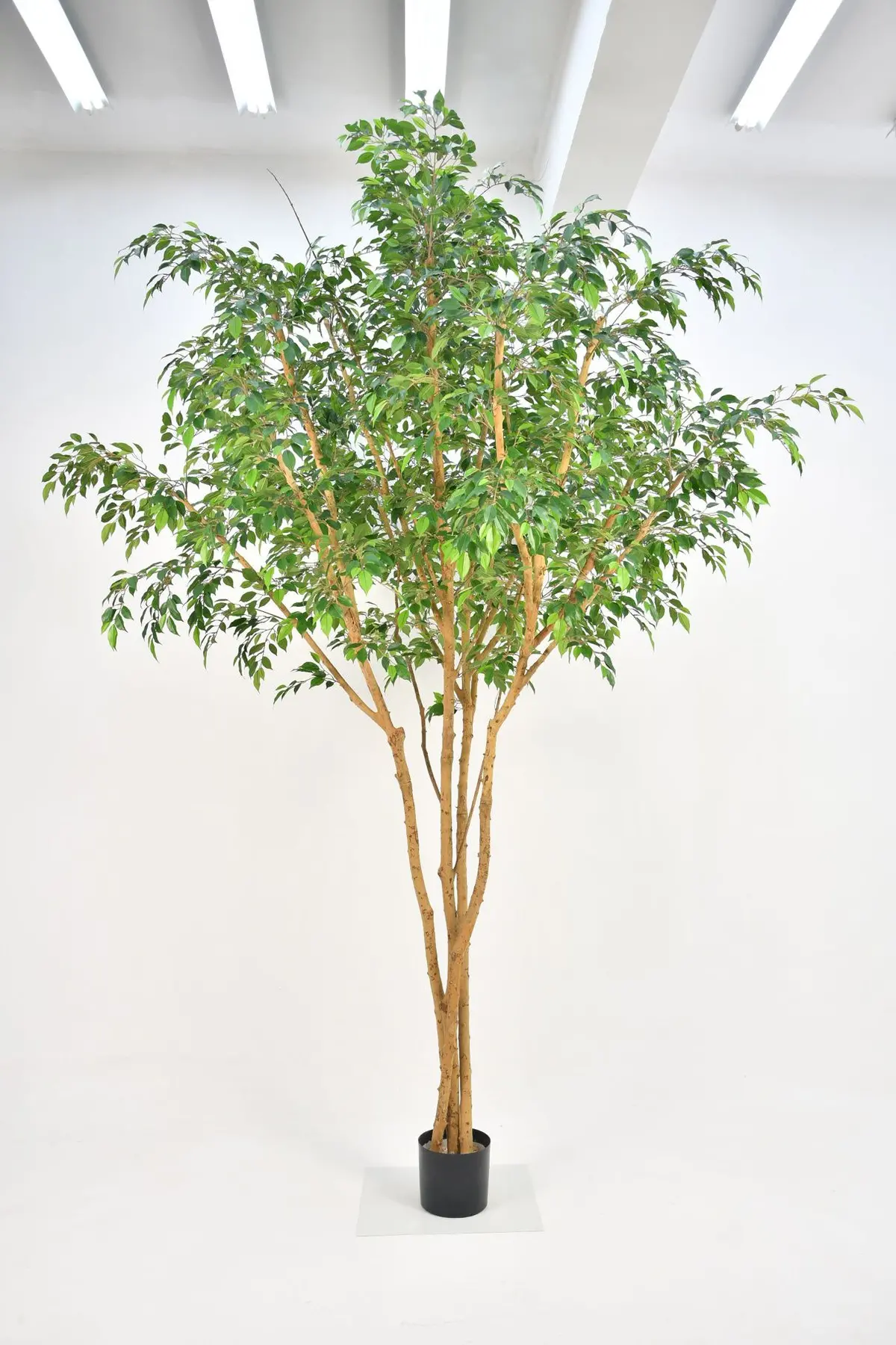 Kunstboom Ficus Natasja - 330 Cm 1