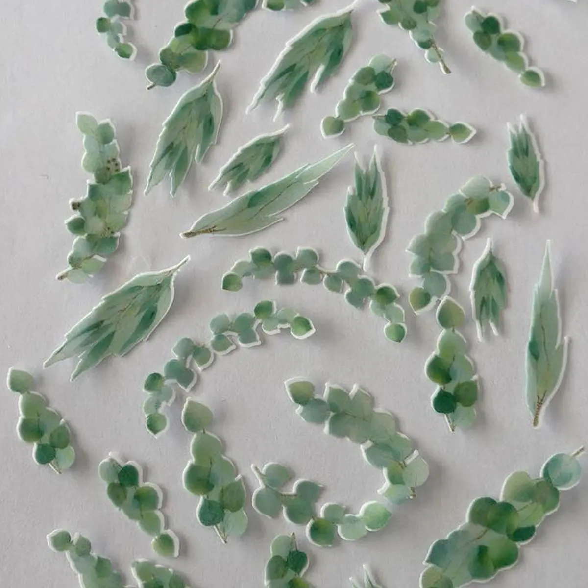 Edible Pre-Cut Wafer Eucalyptus Leaves 1