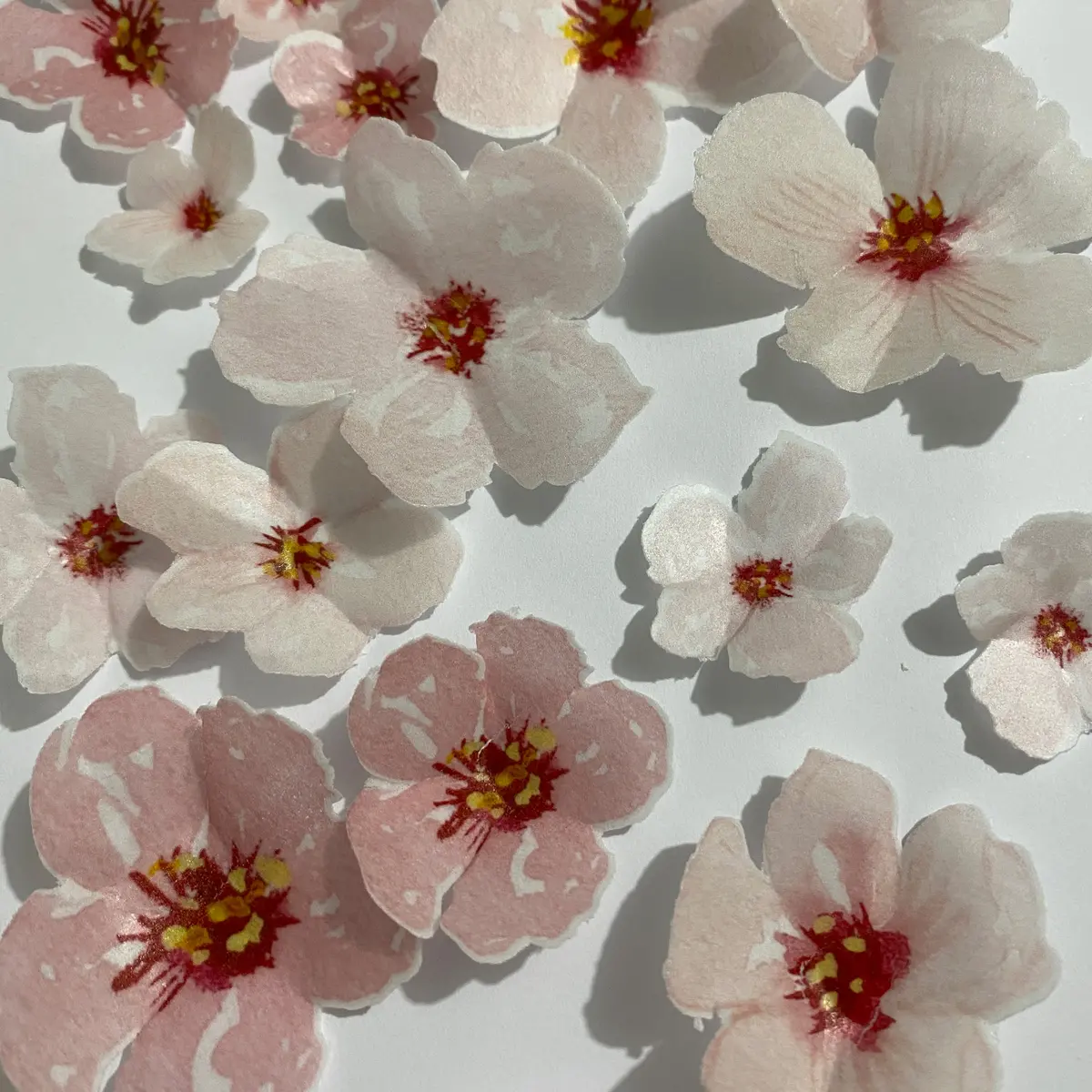 Edible Wafer Pre-Cut Cherry Blossom Flowers 1