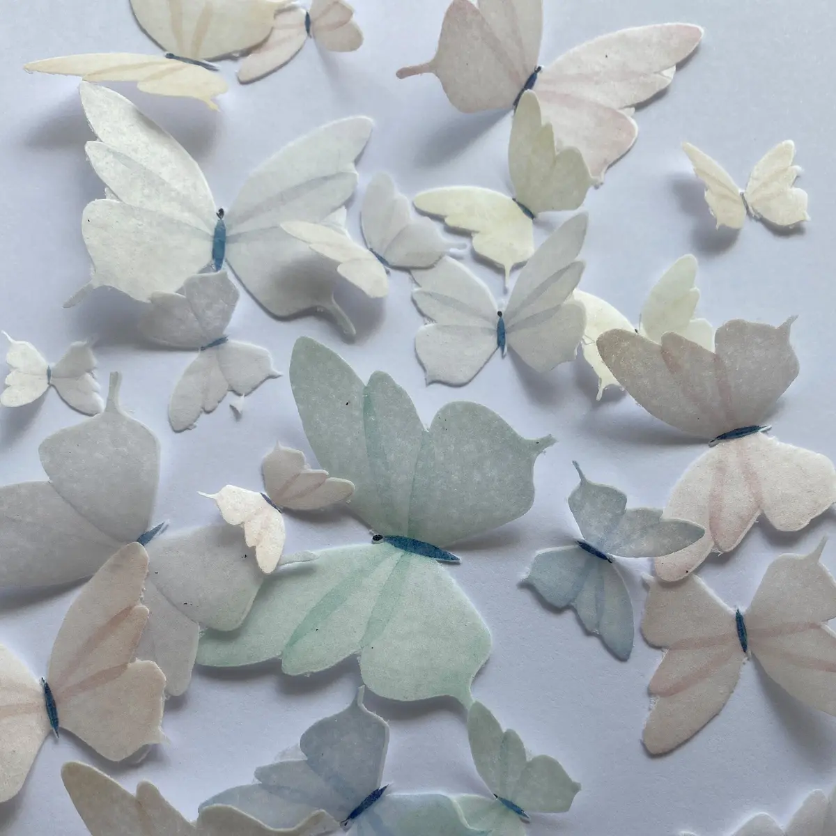 Multicoloured Pastel Pre-Cut Edible Wafer Butterflies 1