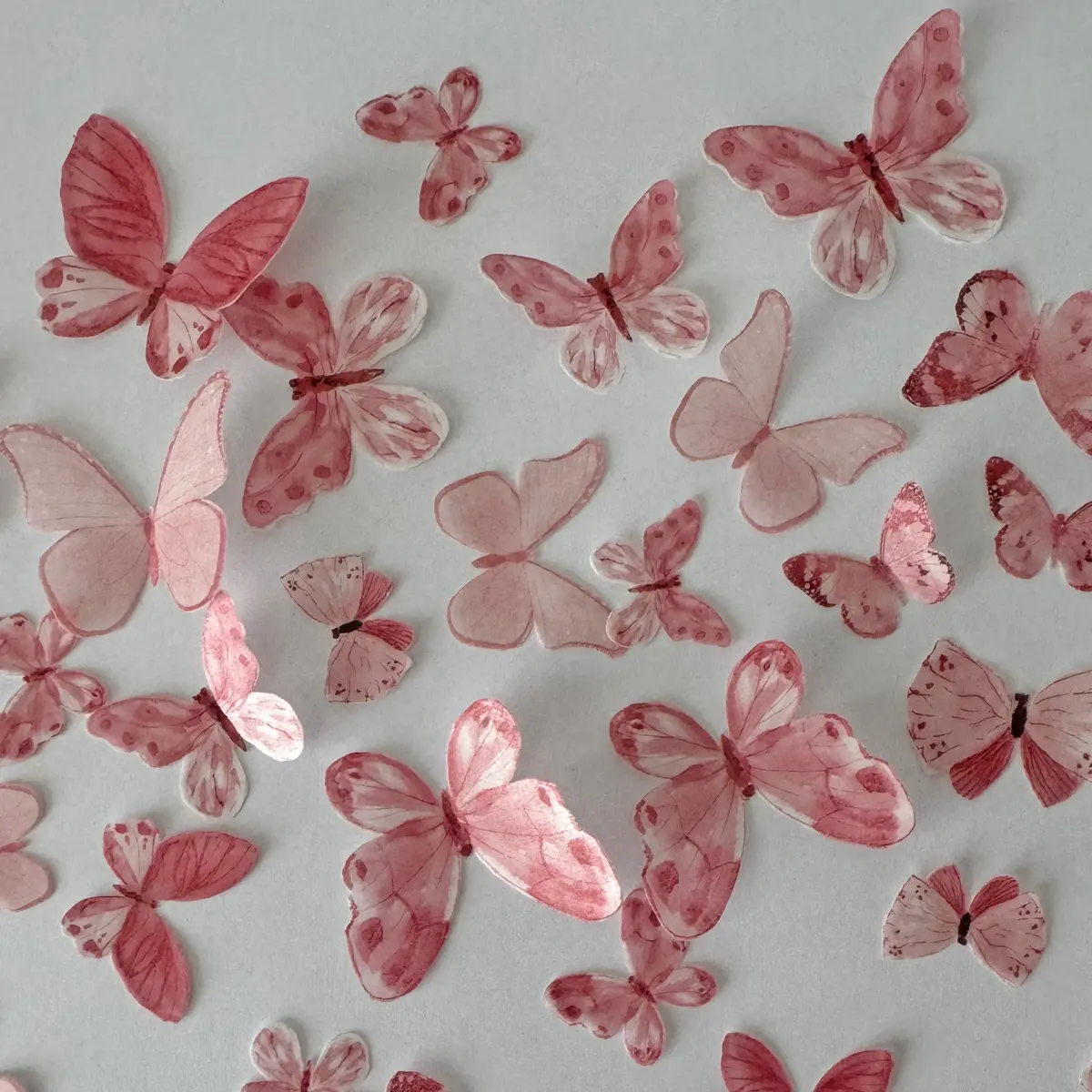 Coral Coloured Pre-Cut Edible Wafer Butterflies 1