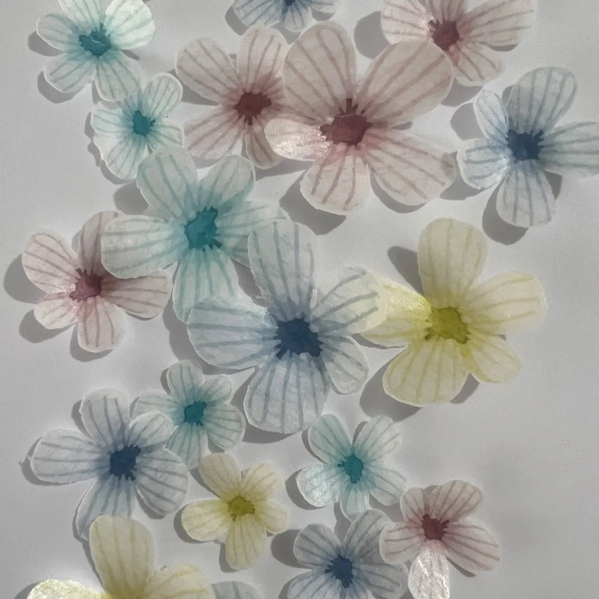 Multi-Coloured Pre-Cut Edible Wafer Flowers 1
