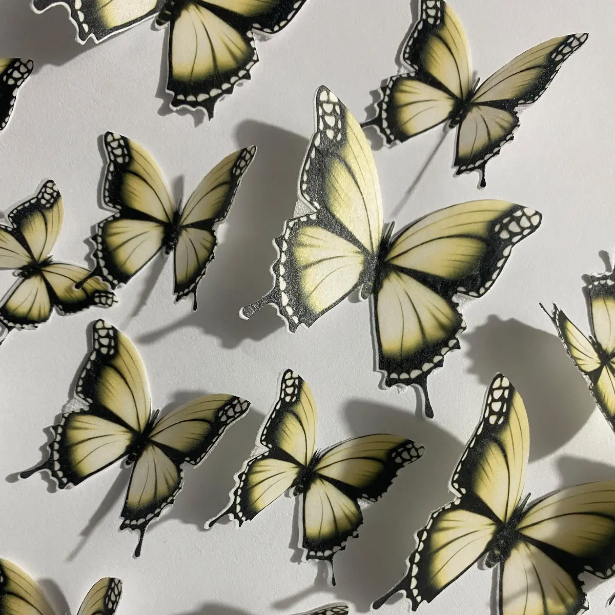 Yellow & Black Pre-Cut Edible Wafer Butterflies 1