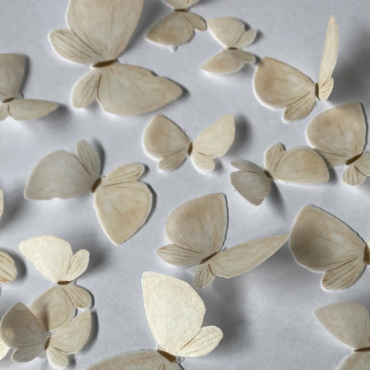 Nude Coloured Pre-Cut Edible Wafer Butterflies 1