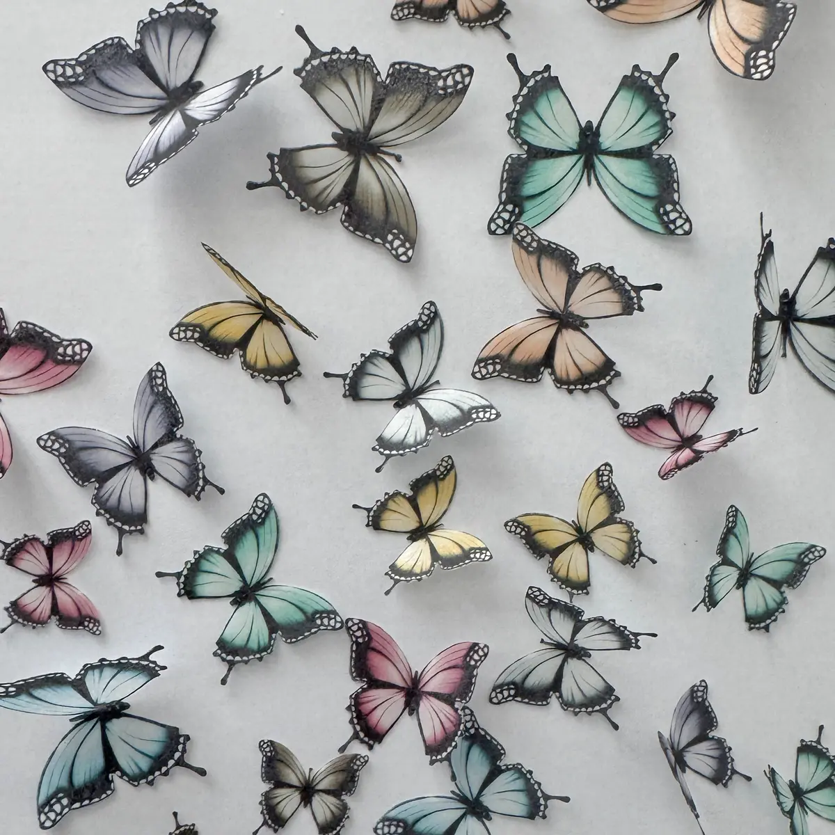 Multicoloured Pre-Cut Edible Wafer Butterflies 1