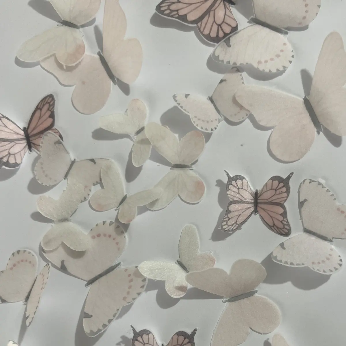 Light Pink Pre-Cut Edible Wafer Butterflies 1