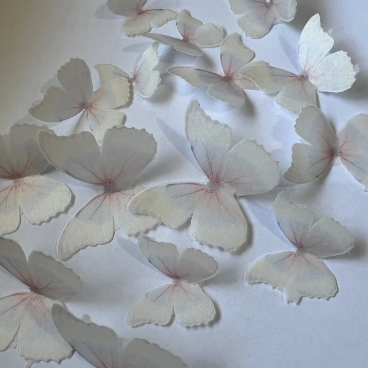 Pink Purple & Yellow Pre-Cut Edible Wafer Butterflies 1