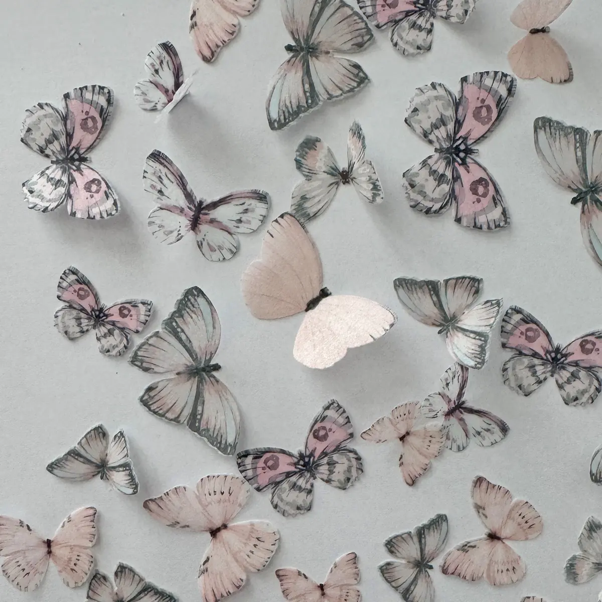 Pink Pre-Cut Edible Wafer Paper Butterflies (Copy) 1