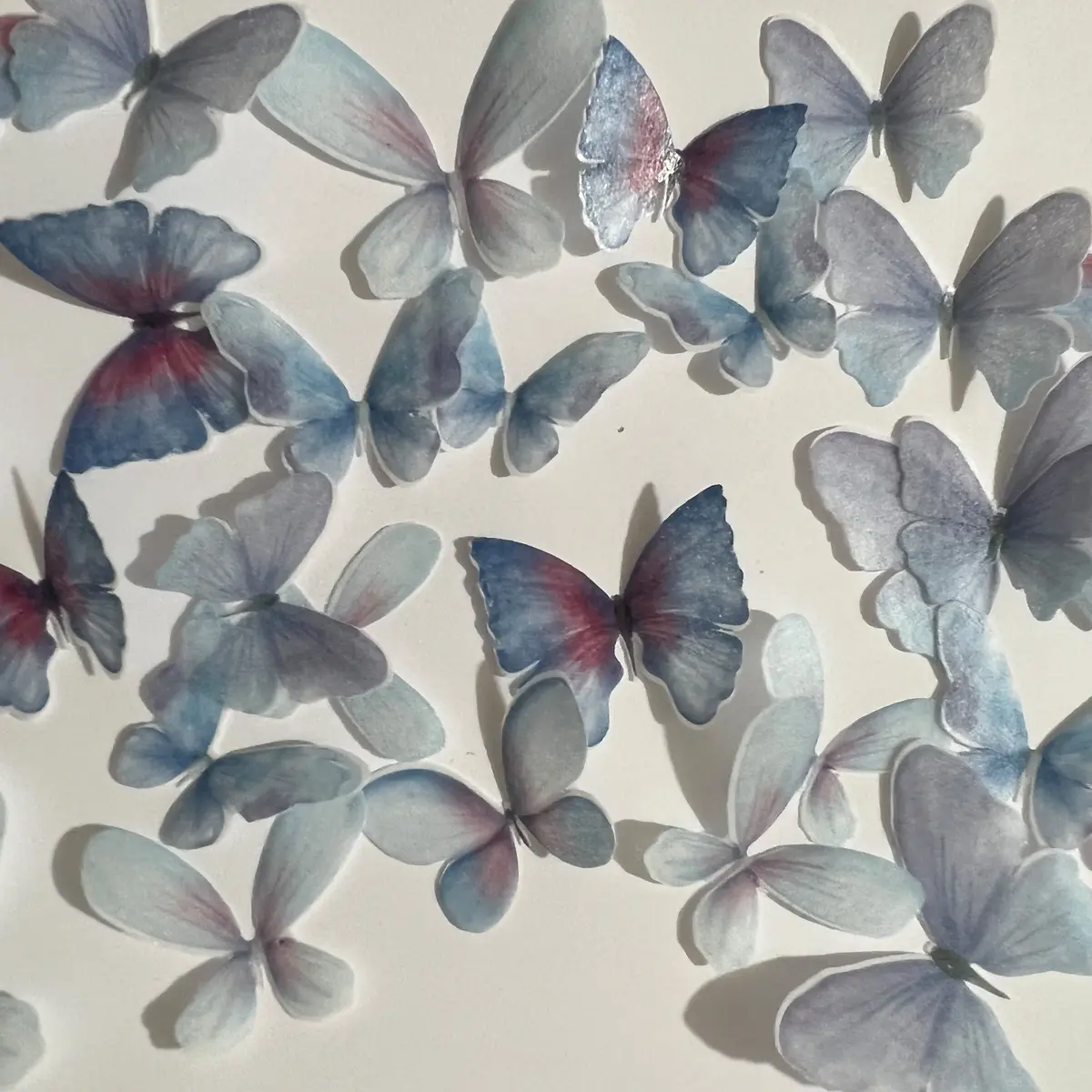 Purple & Blue Pre-Cut Edible Wafer Butterflies 1