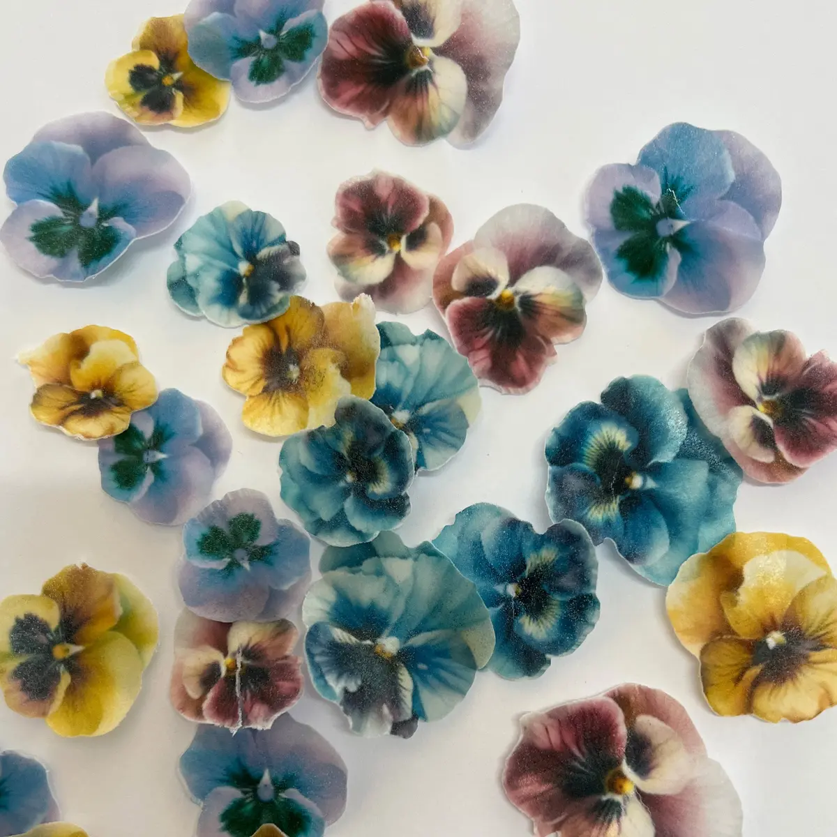 Multicoloured Pre-Cut Edible Wafer Pansies 1