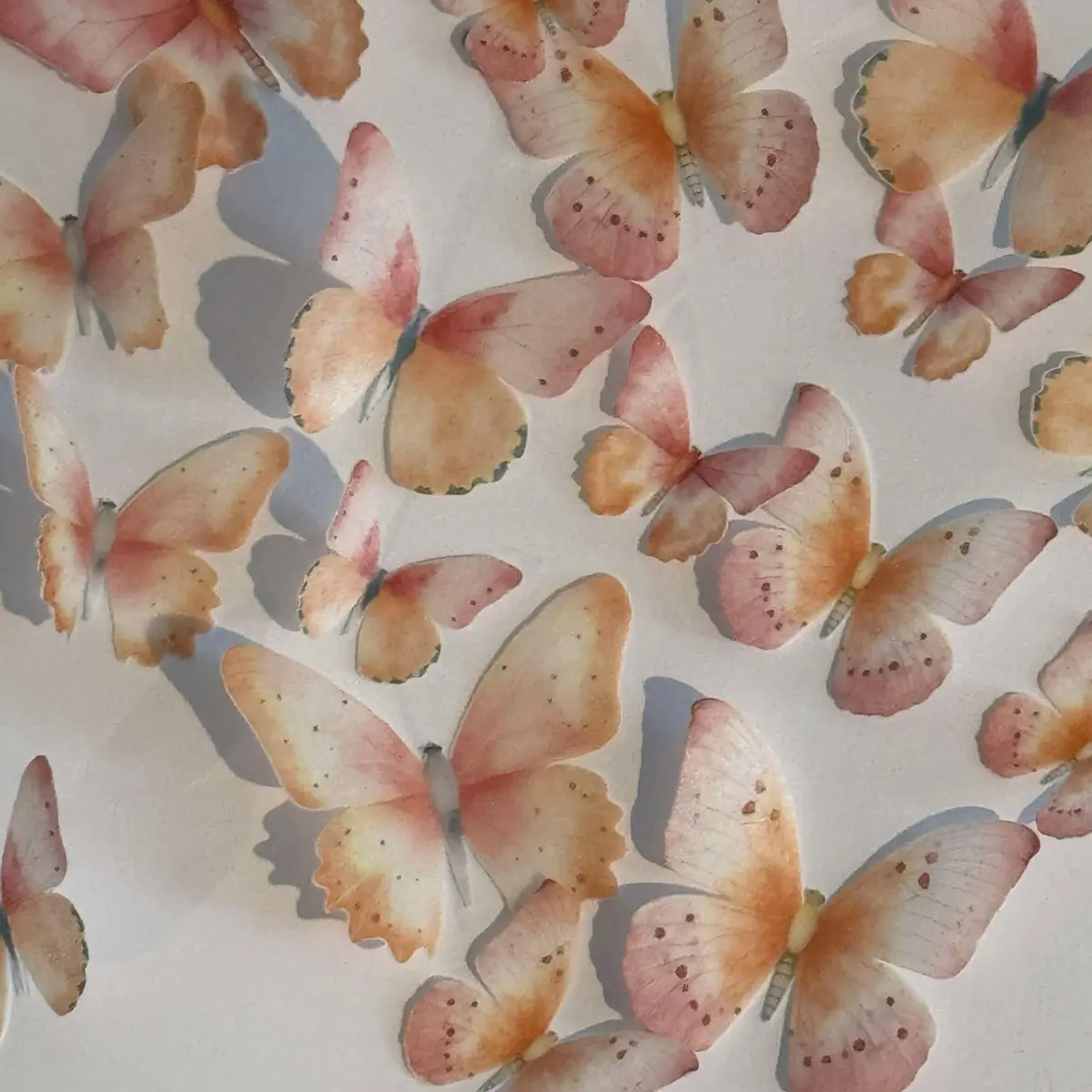 Pink & Orange Pre-Cut Edible Wafer Paper Butterflies 1