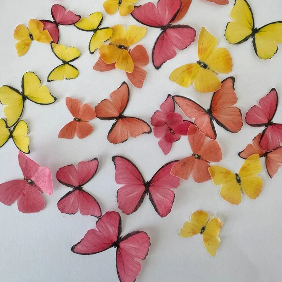 Pink, Orange & Yellow Pre-Cut Edible Wafer Butterflies 1