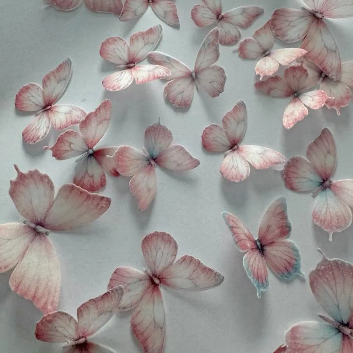 Light Pink Pre-Cut Edible Wafer Butterflies 1