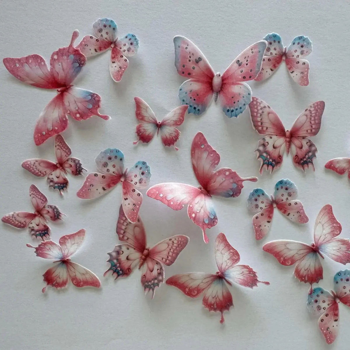 Pink & Blue Pre-Cut Edible Wafer Butterflies 1