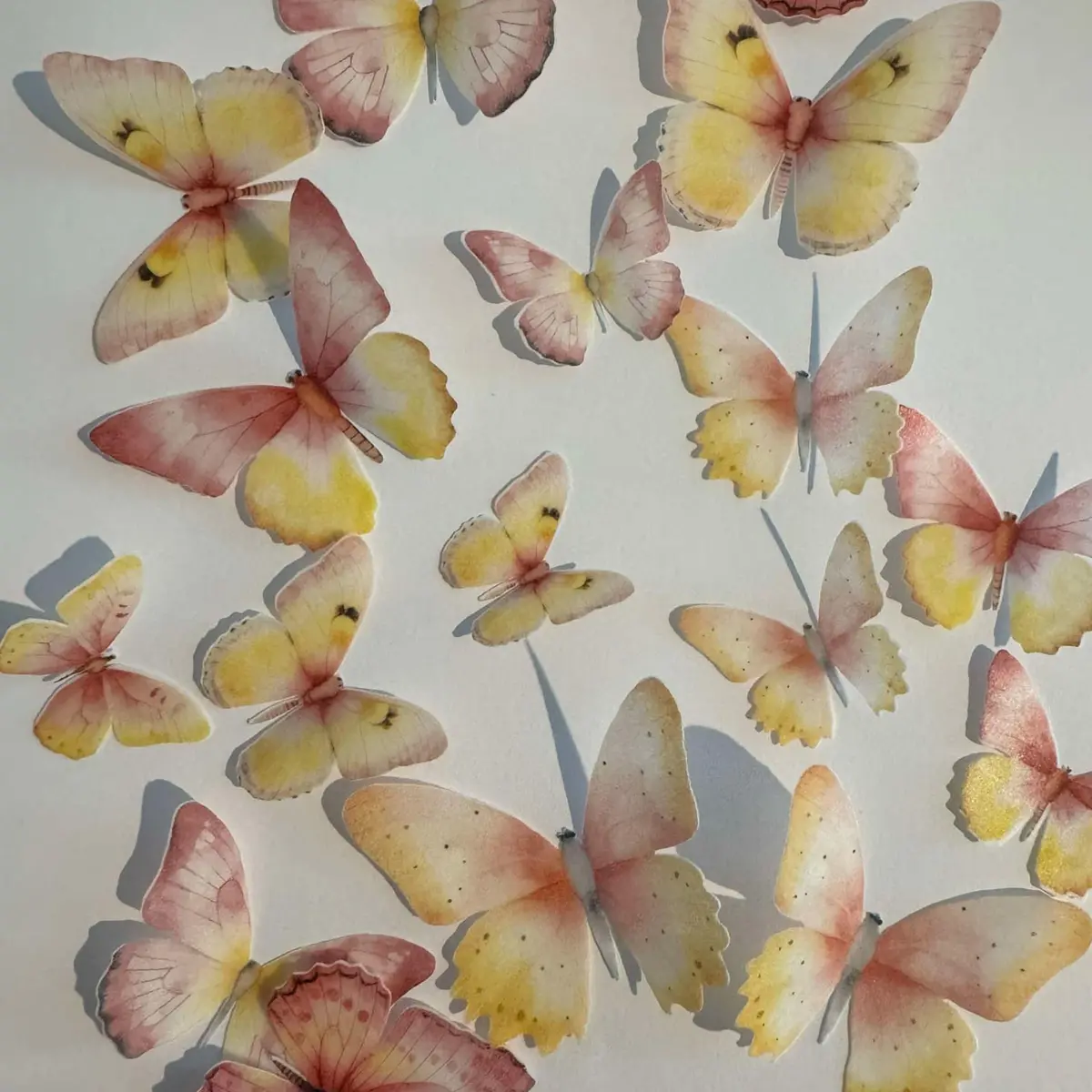 Pink & Yellow Pre-Cut Edible Wafer Paper Butterflies 1