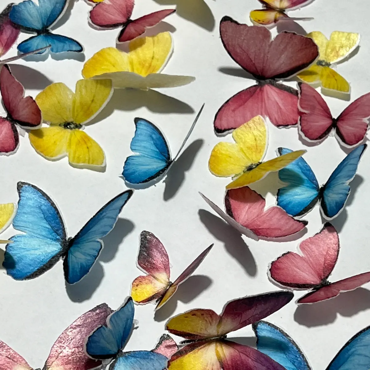 Bright Multicoloured Encanto Inspired Pre-Cut Edible Wafer Butterflies 1