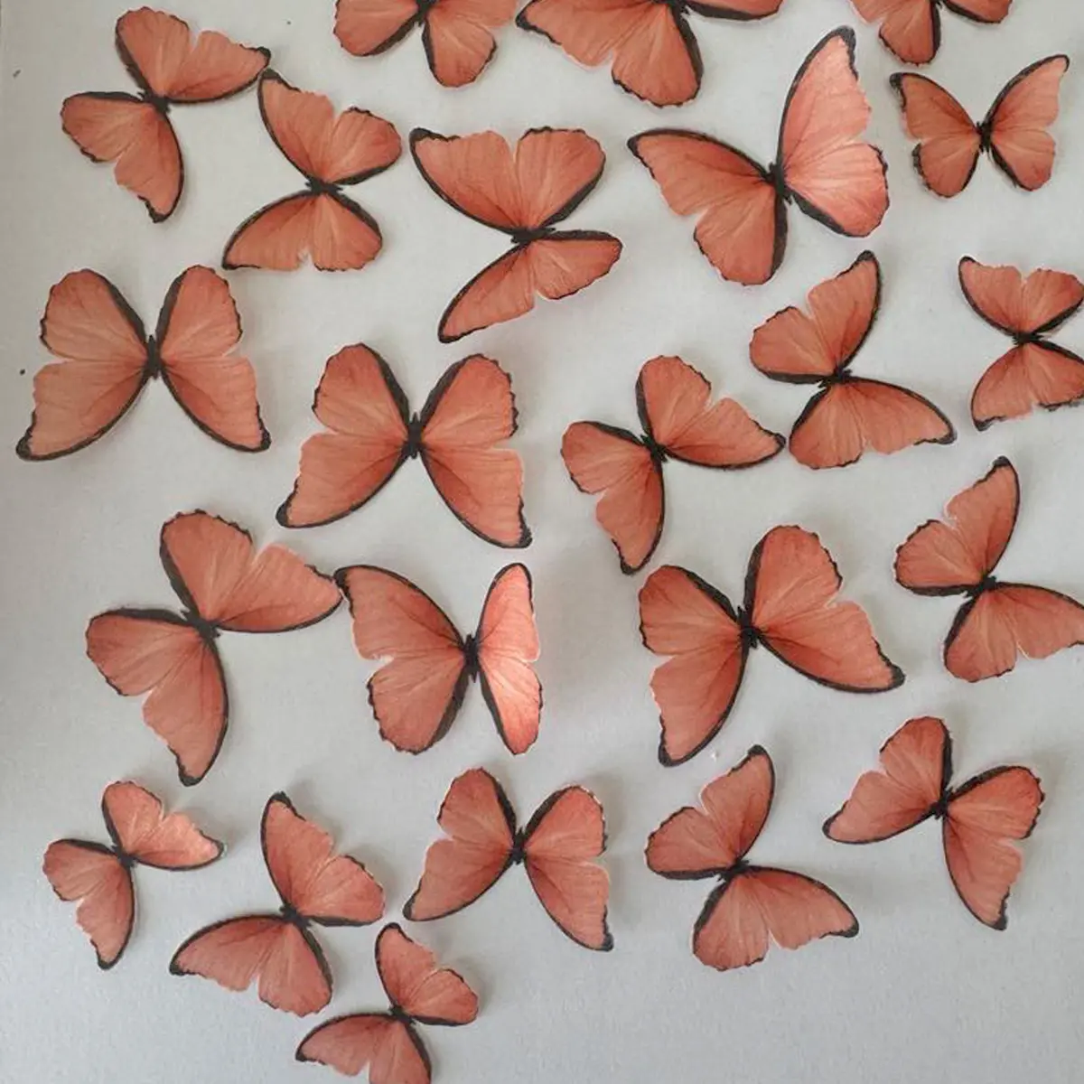 Bright Orange Pre-Cut Edible Wafer Butterflies 1