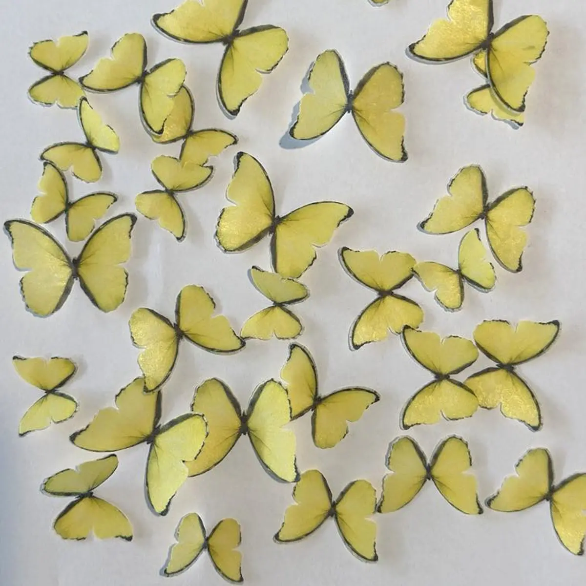 Bright Yellow Pre-Cut Edible Wafer Butterflies 1