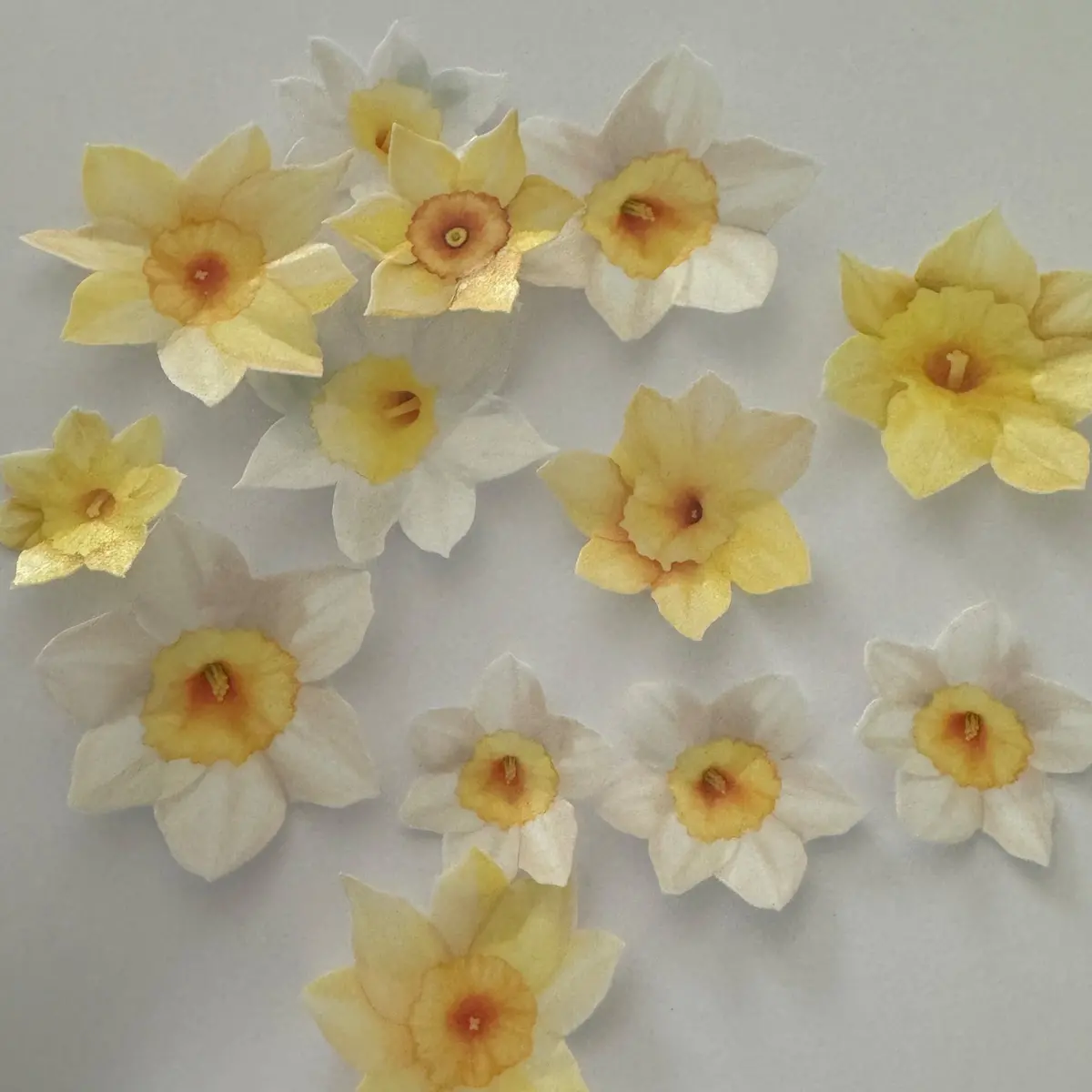 Edible Pre-Cut Yellow Wafer Daffodil Flowers 1