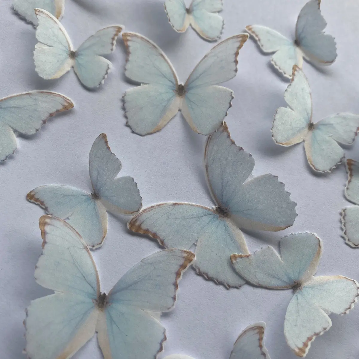 Light Blue Pre-Cut Edible Wafer Butterflies 1
