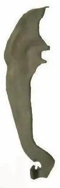 Park Brake Lever ,Right, Used, 64-88 A-F-X-Body 1