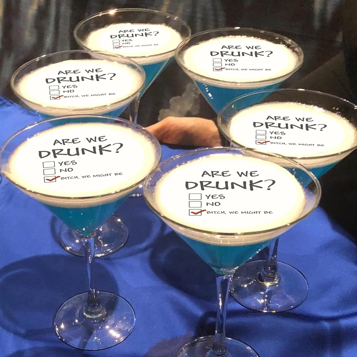 Are We Drunk Funny Edible Cocktail Drink Toppers 1