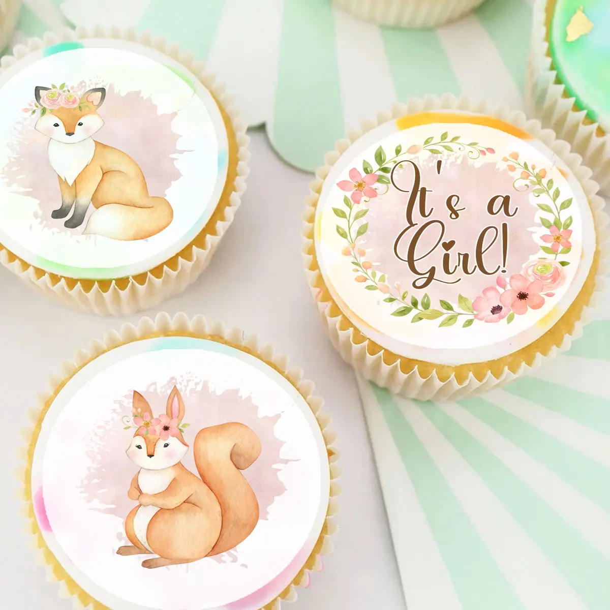 Woodland Animals Pre-Cut Edible Cupcake Or Cookie Toppers 1