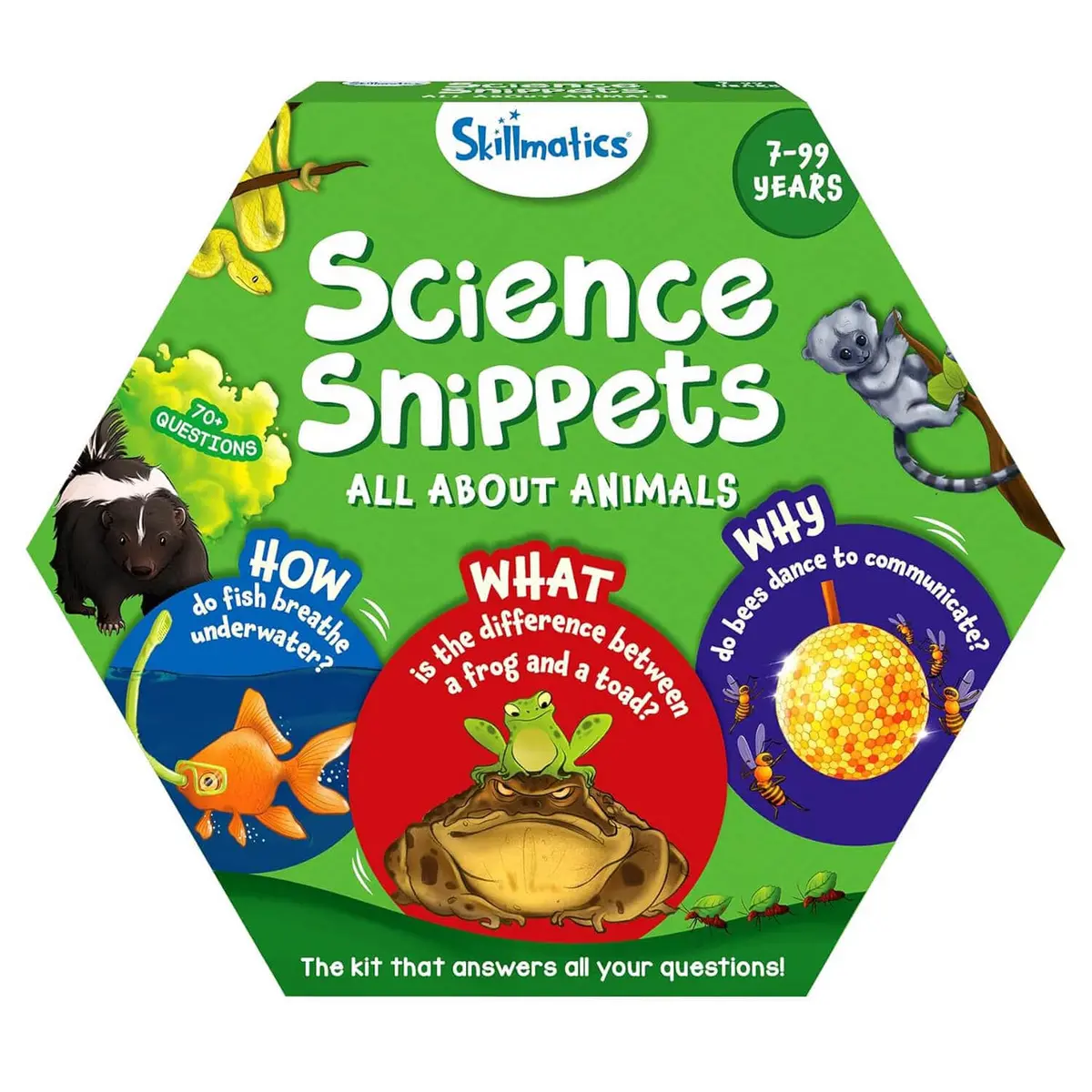 Science Snippets Learning Fun Kit 70+ Questions Flash Cards 1