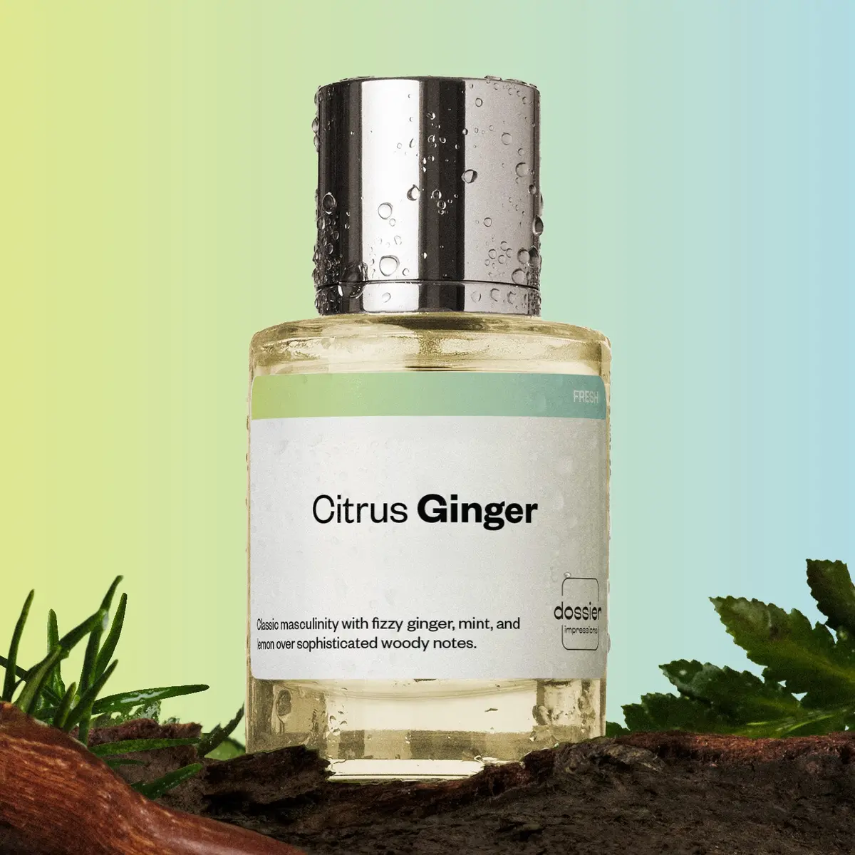 Perfume Citrus Ginger 50Ml - Dossier 1