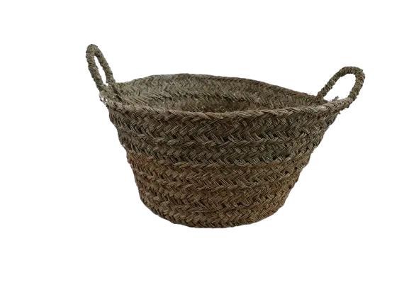 Essaouira Mand Breed - S 1