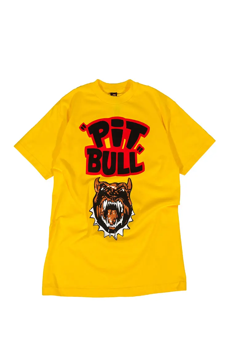 The Hundreds X Back To The Future Pitbull T-Shirt 1