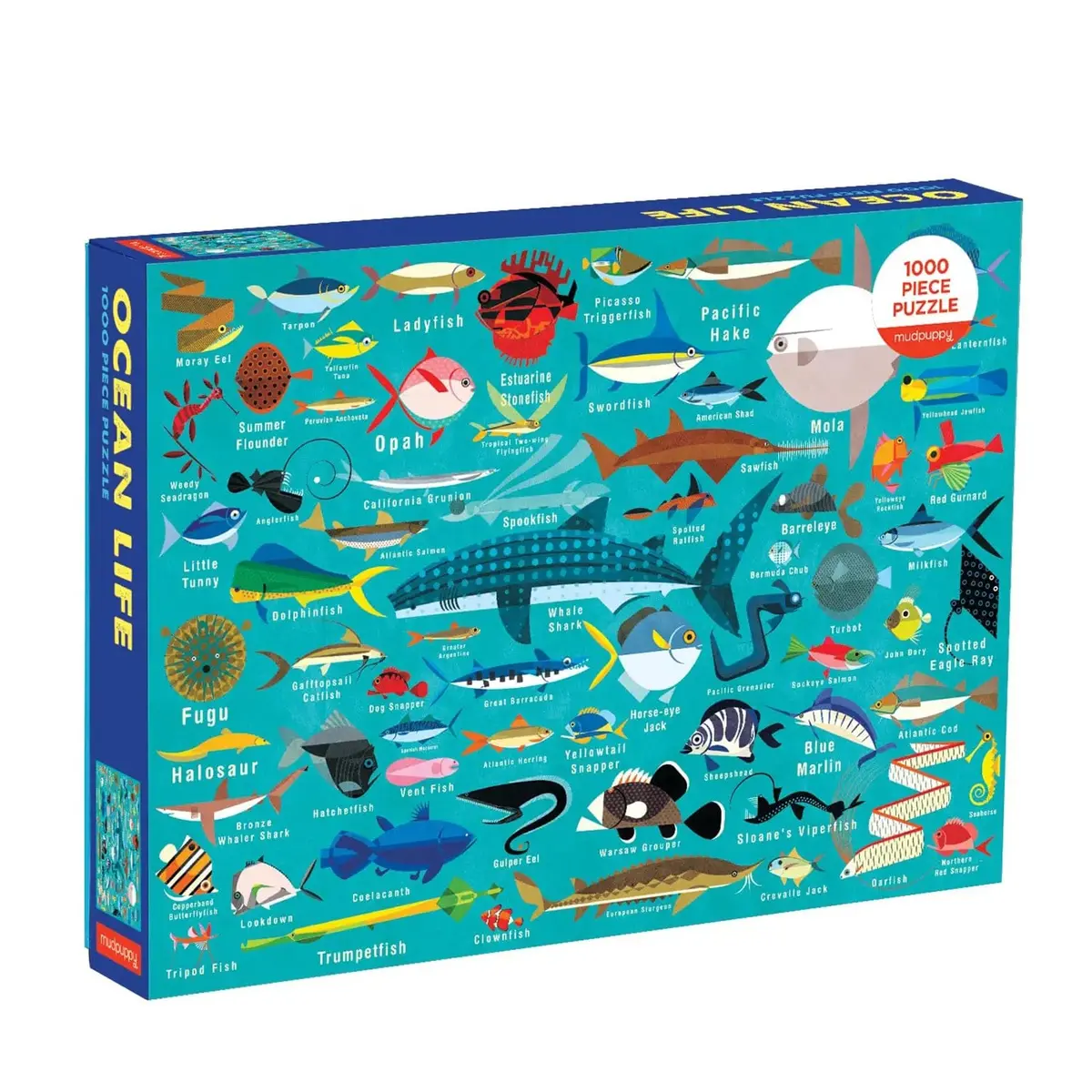 Ocean Life Jigsaw Puzzle Fish Shark Seahorse Eel Ray 1000 Pieces 1