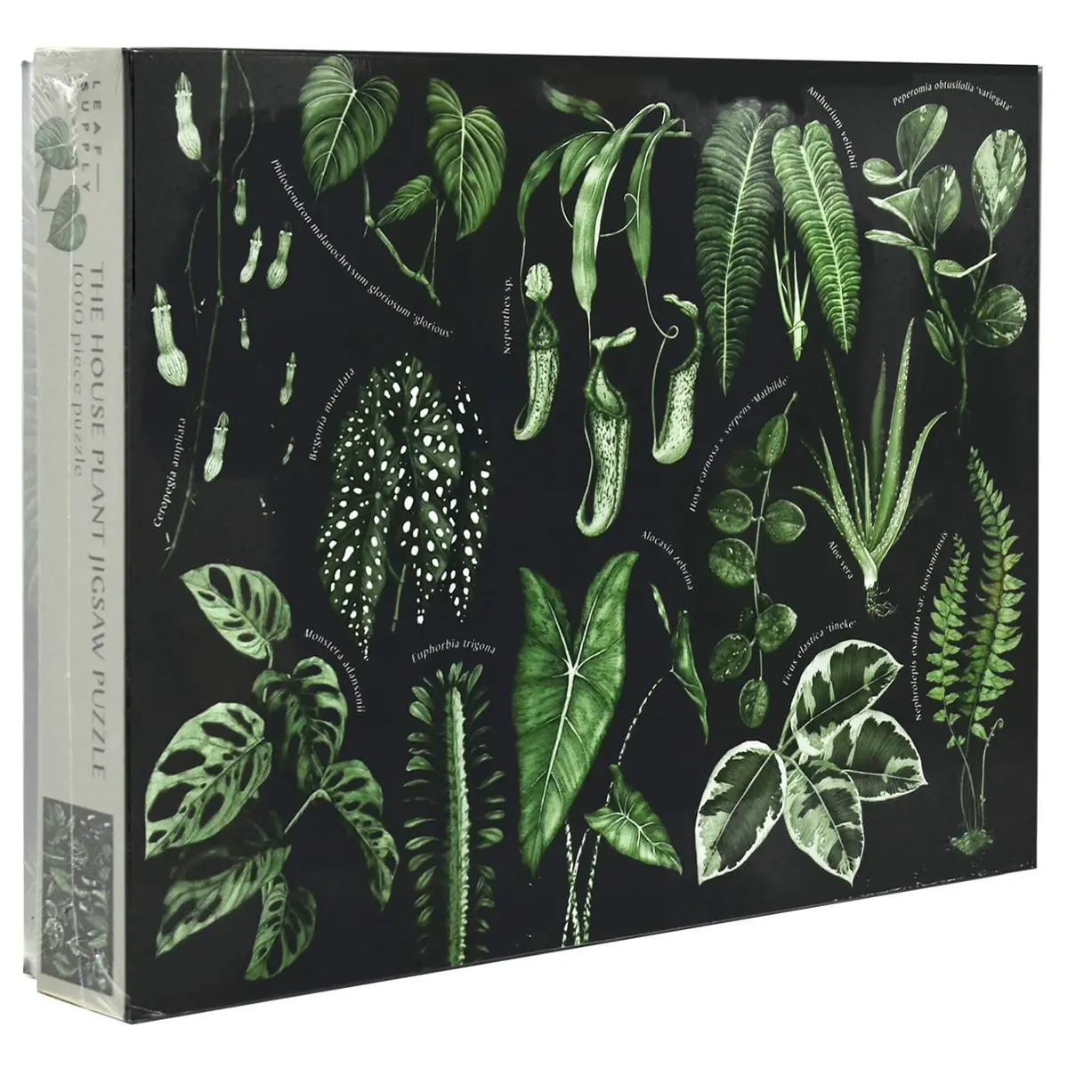 The House Plant Jigsaw Puzzle Botanical Foliage 1000 Pieces 1