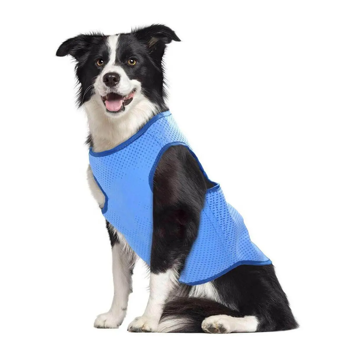 Smart Choice Pet Cooling Vest Reusable Dog Coat Lightweight 1