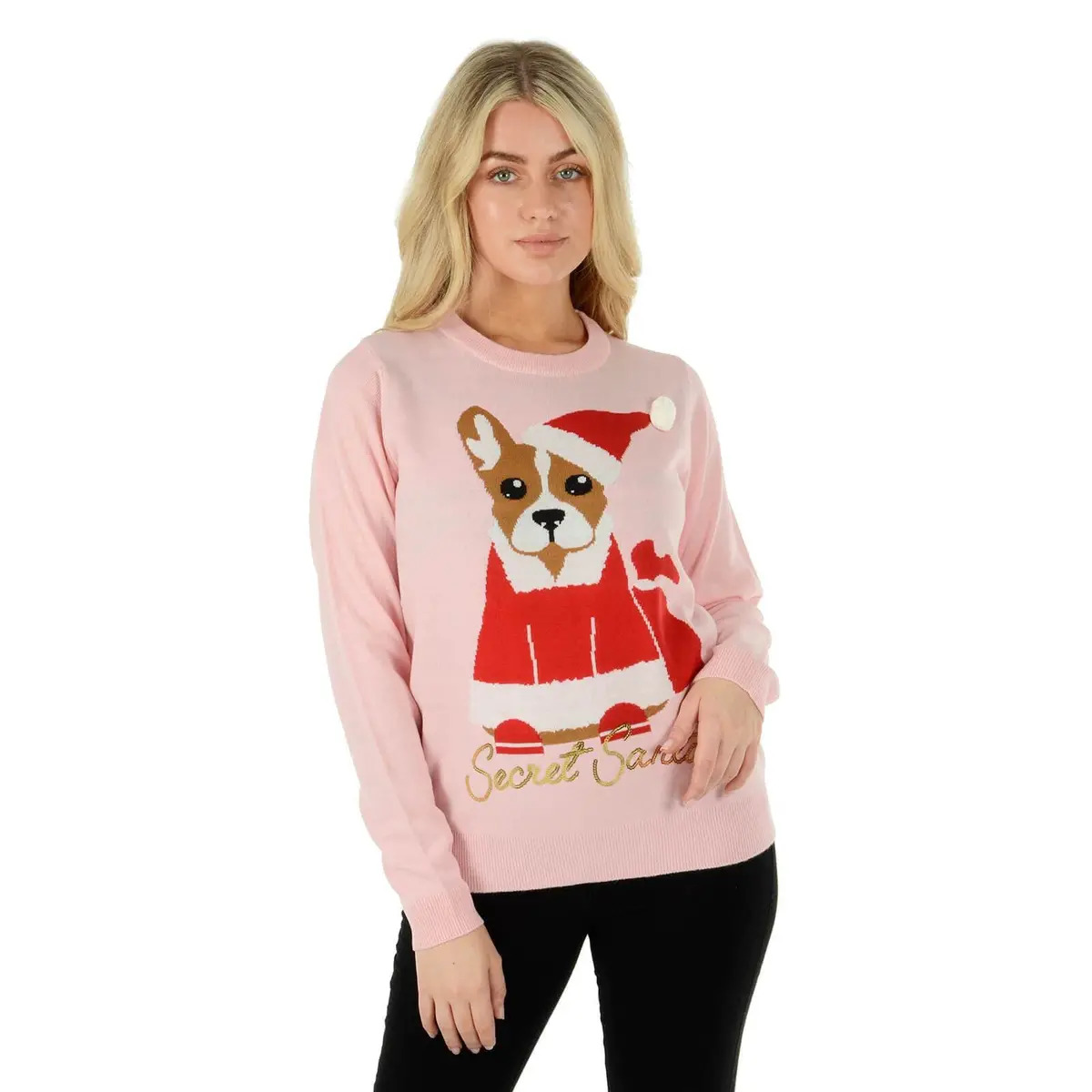 Ladies Secret Santa Christmas Jumper Santa Dog 1