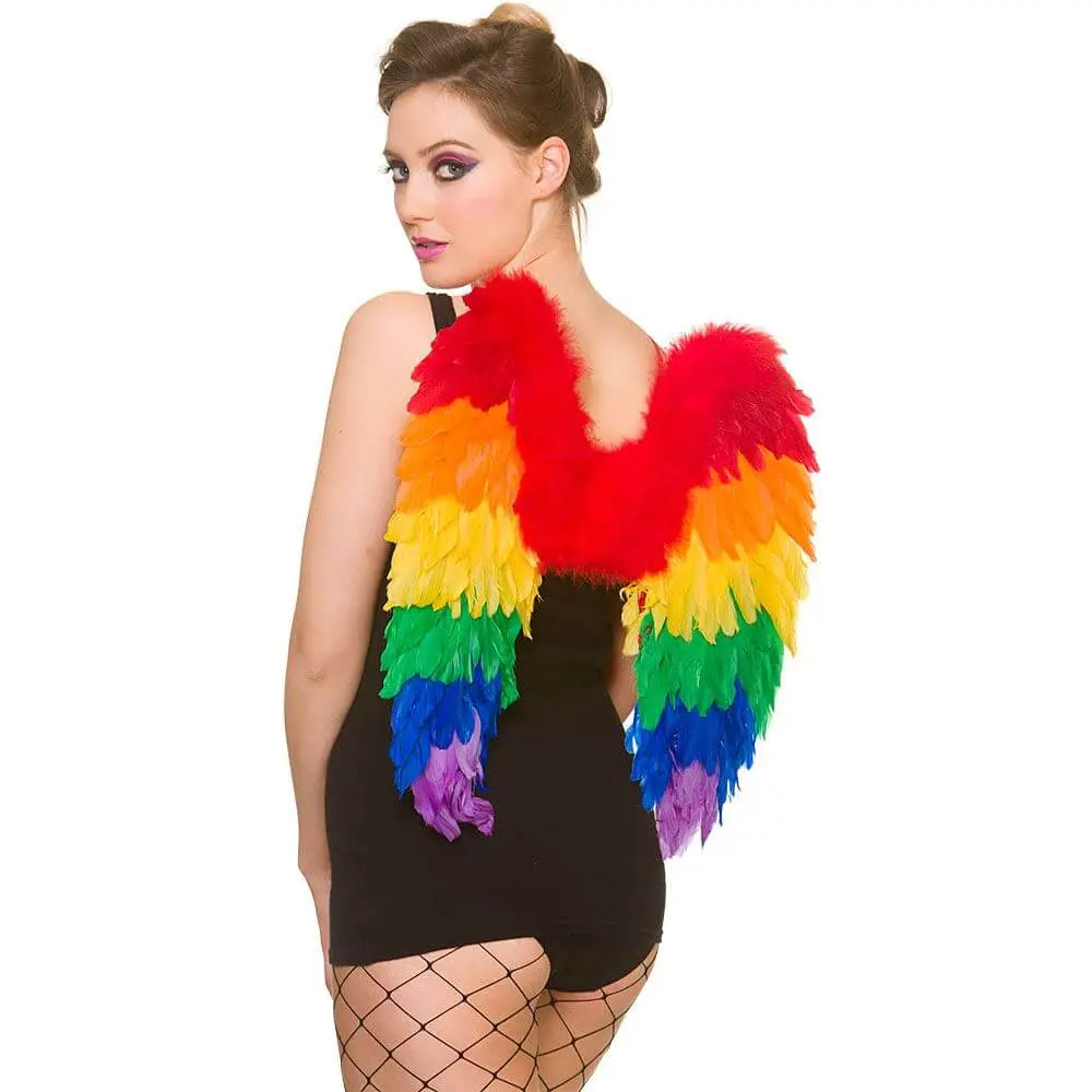 Adults Rainbow Feather Wings Fairy Pride Festival 50Cm 1