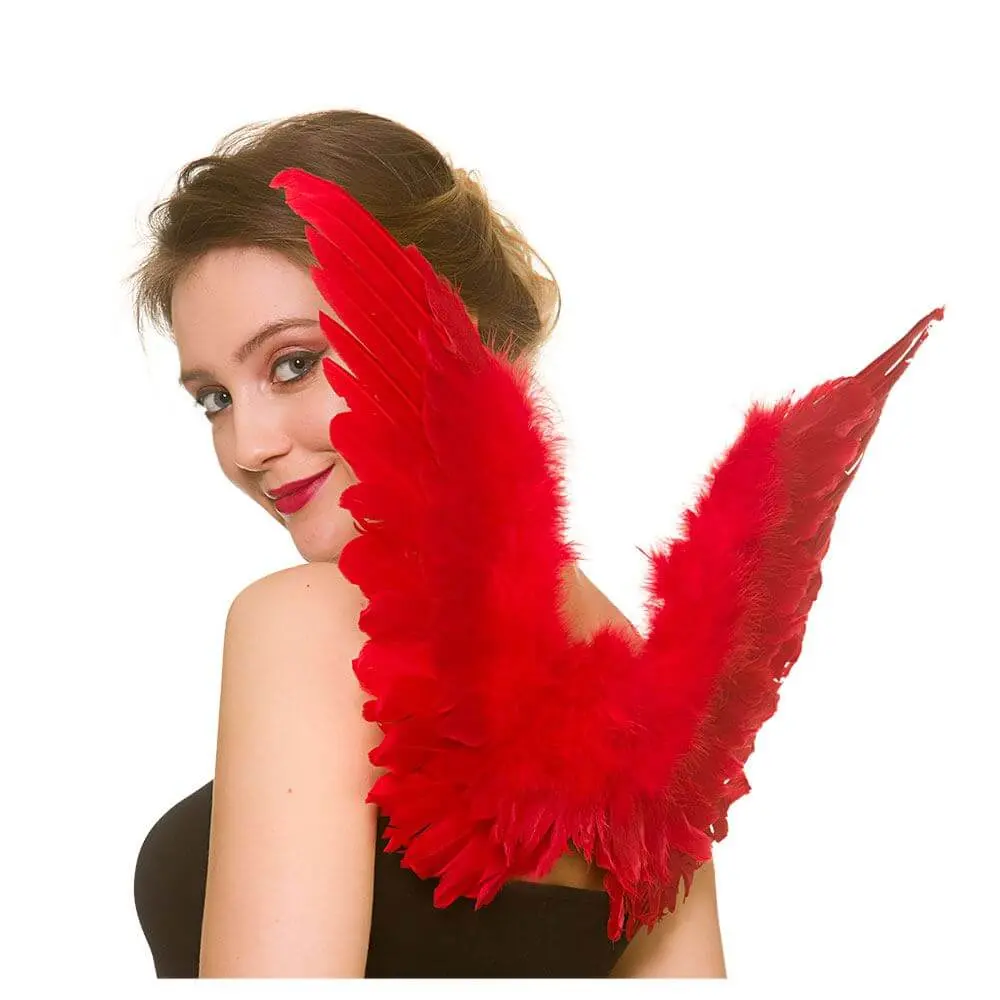 Adults Feather Wings Angel Fairy Devil Fancy Dress 60Cm 1