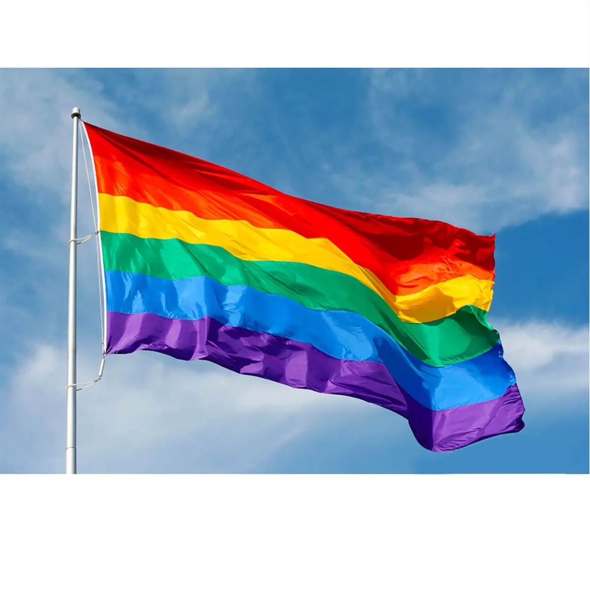 Large Rainbow Flag Festival Pride Carnival 150X90cm 1