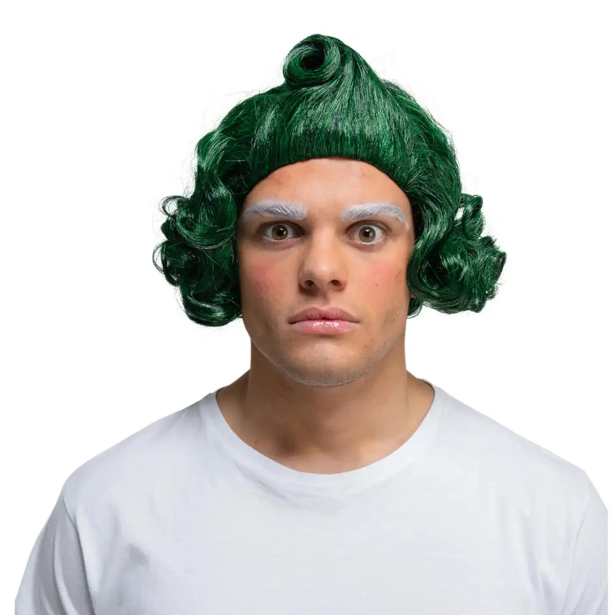 Adults Chocolate Factory Worker Wig Green Hair Fancy Dress 1