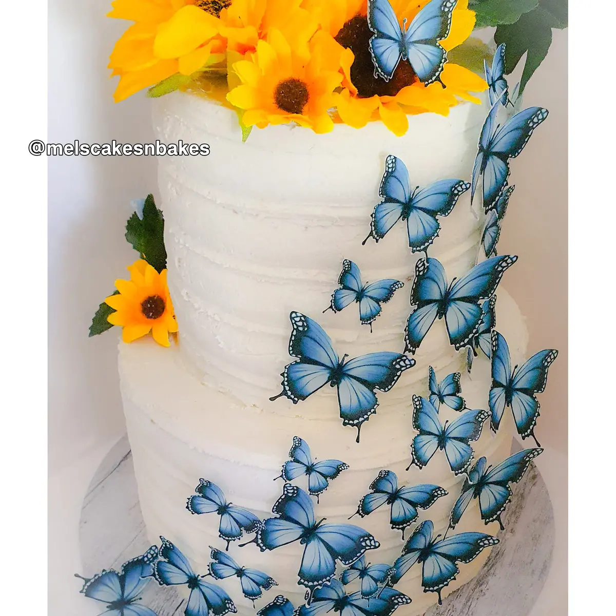 Blue & Black Pre-Cut Edible Wafer Butterflies 1