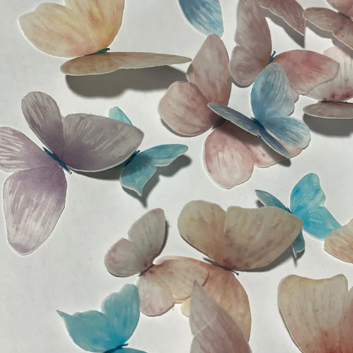 Multi-Coloured Pre-Cut Edible Wafer Butterflies 1