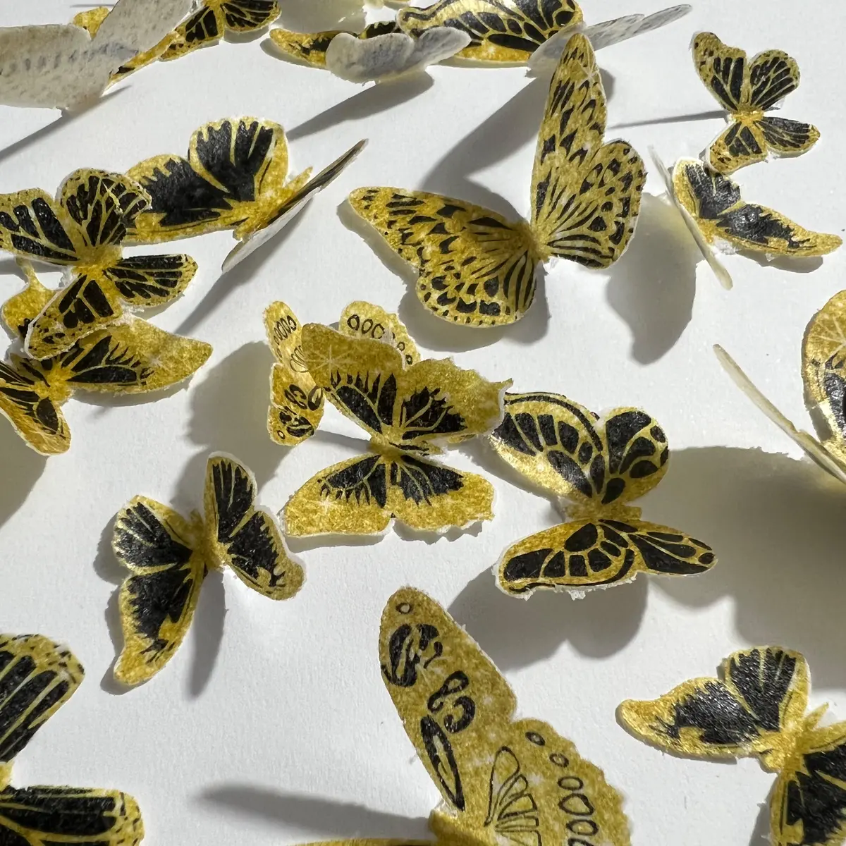 Gold & Black Pre-Cut Edible Wafer Butterflies 1
