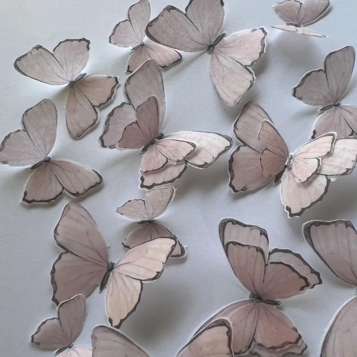 Pink & Grey Pre-Cut Edible Wafer Butterflies 1