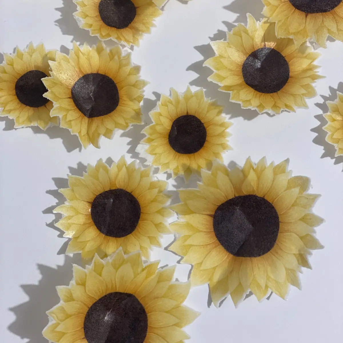 Pre-Cut Edible Wafer Sunflowers 1