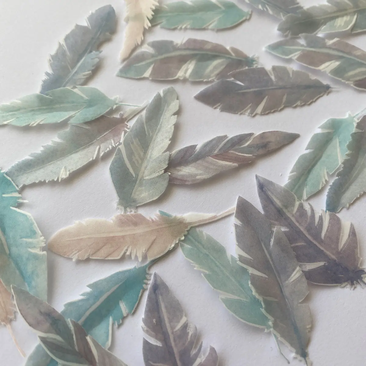 Pre-Cut Edible Wafer Feathers 1